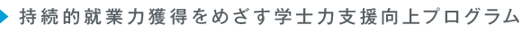 持続的就業力獲得をめざす学士力支援向上プログラム