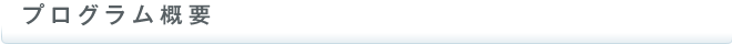 プログラム概要