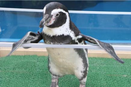 ふれあいイベントの様子1