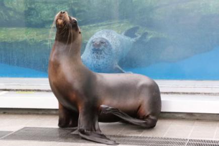ふれあいイベントの様子2