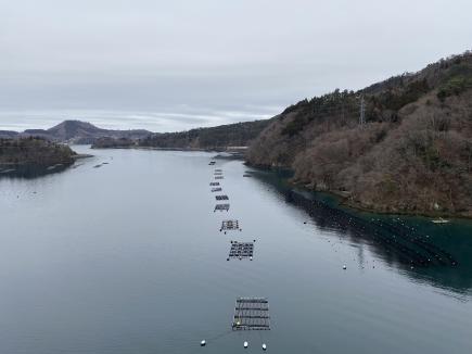 写真3：静かで澄んだ内湾の海