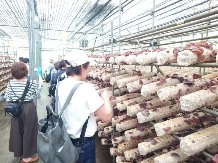 「わがまち名取」現地視察