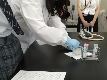 乳鉢を使い試料調製中