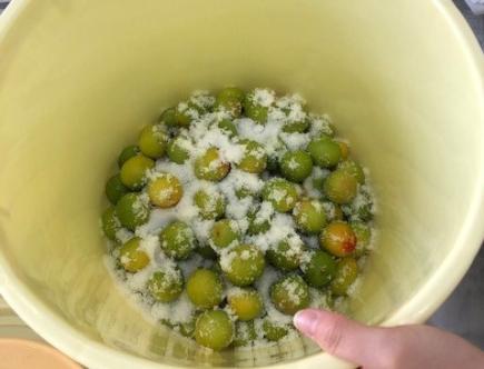 食塩を振りかけた漬け込み前の梅の様子