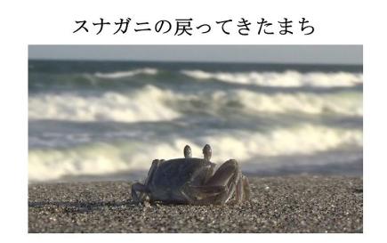 大賞　「スナガニの戻ってきたまち」　