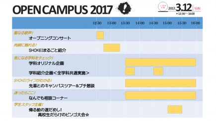 当日のスケジュール