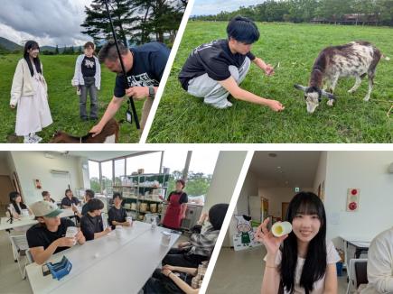 ヤギやひつじと触れ合い、アイスクリーム作り！