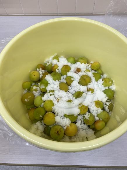 ヘタを取り除いた梅の実を塩漬けにします.